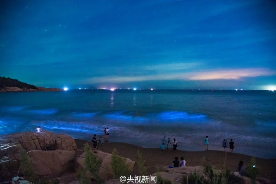 海之号角神秘海怪