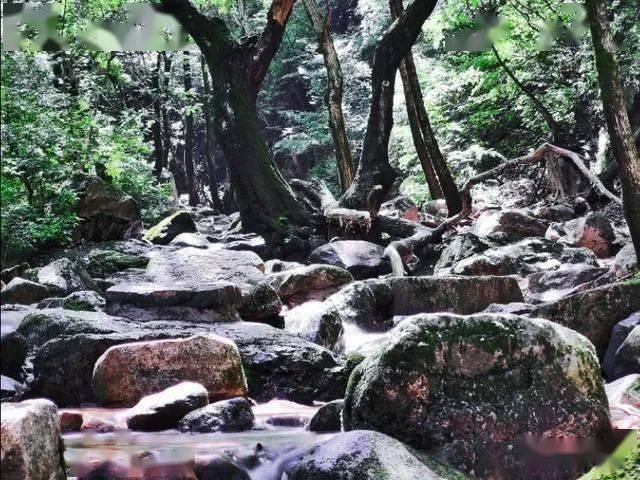 拥堵的停车场